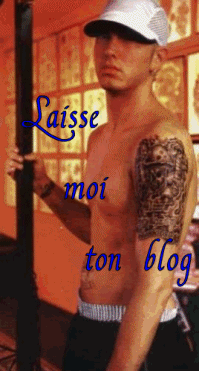laisse moi ton blog